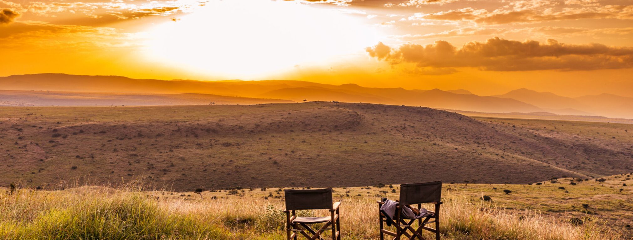 Kenya Landscapes Fields Plants Vegetations Wild Wildlife Animals Travels